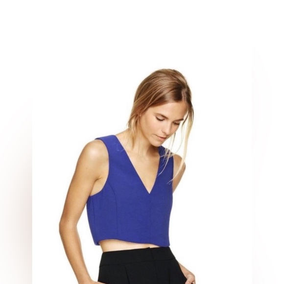 Aritzia Wilfred Dauphine Top - Picture 4 of 4